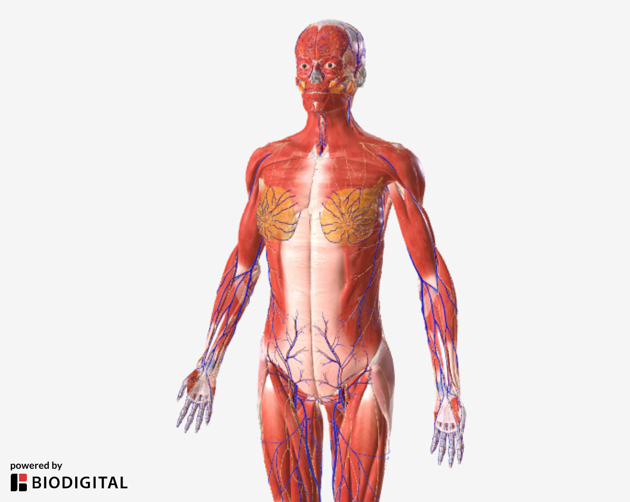 Screenshot 2024-01-19 at 15.13.30