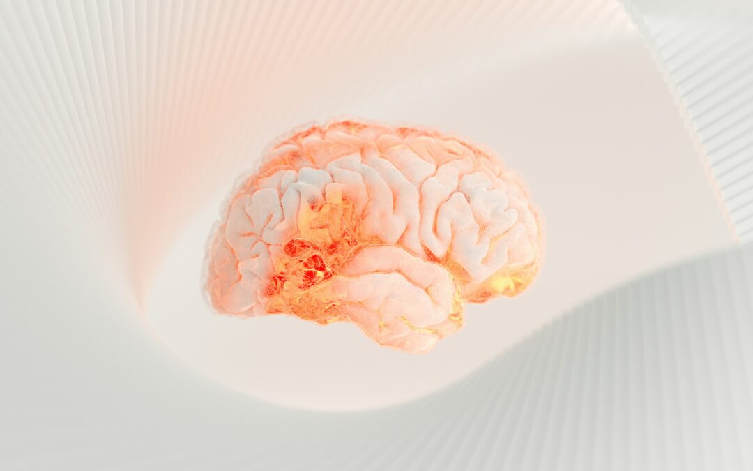 Understanding Psychoneuroimmunology – and What It Has to Do With the Gut–Brain Axis